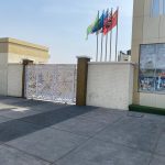 Livak Arena Numan